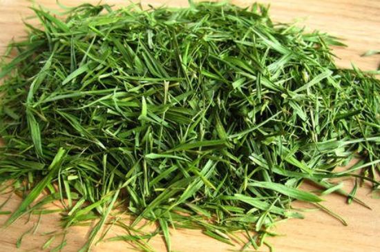 哪類人不適合喝石竹茶，石竹茶的功效與禁忌