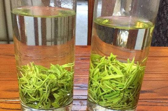 黃金茶的功效及禁忌癥，黃金茶有什么副作用嗎？
