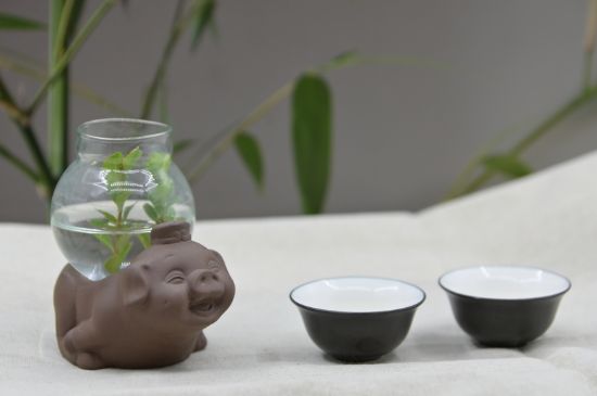 正確泡茶13個流程，新手從零開始學泡茶的步驟