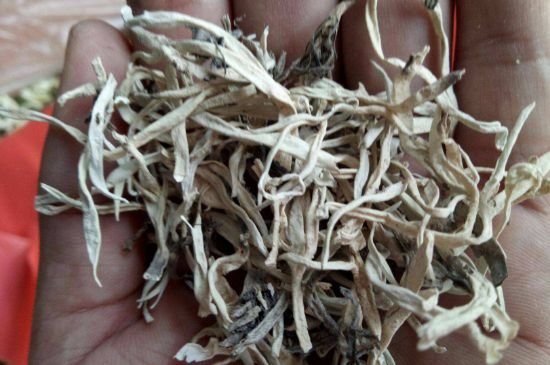 麗江雪茶的禁忌，白雪茶的副作用