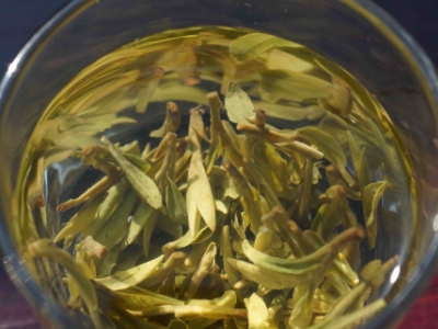 安吉白茶的功效與作用，簡單概括安吉白茶功效