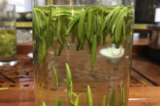 雀舌茶的副作用，雀舌茶什么人不能喝？