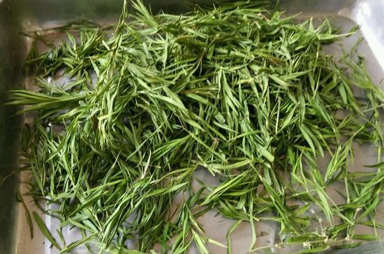 哪類人不適合喝石竹茶，石竹茶的功效與禁忌