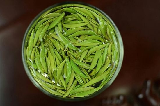 雀舌茶什么人不能喝，雀舌茶的功效與禁忌