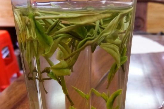 云霧綠茶的功效及禁忌，哪些人不適合喝云霧茶