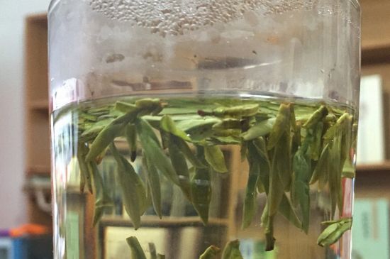 煮茶器能煮龍井嗎，龍井茶能不能用煮茶器圖