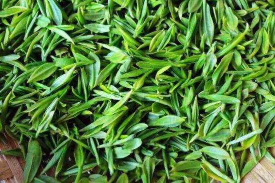 云霧綠茶的功效及禁忌，哪些人不適合喝云霧茶