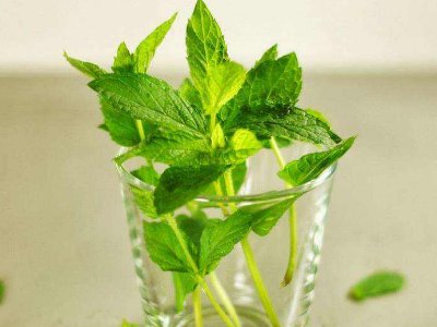 喝茶治口臭嗎，什么茶治口臭好？