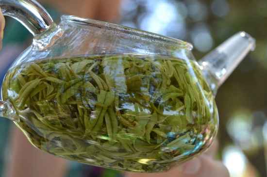新手學(xué)泡茶的基本常識(shí)，從零開始學(xué)泡茶