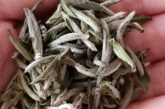 如何買茶葉不上當，怎么買茶葉不被坑？