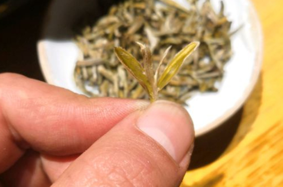 六大茶類哪種適合長期存放，日常如何保存方法一覽？