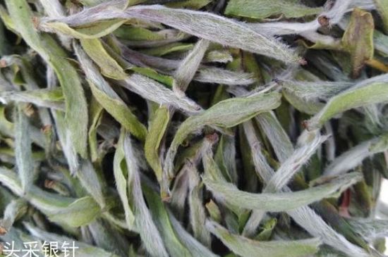 春茶季怎么辨別白毫銀針的好壞，好的白毫銀針如何選購？
