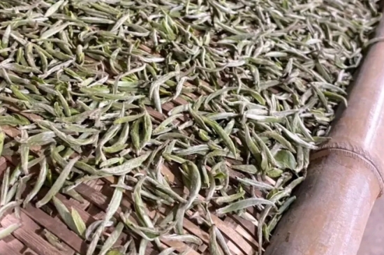 過期茶葉的八大妙用，過期的陳茶葉還能干什么用？