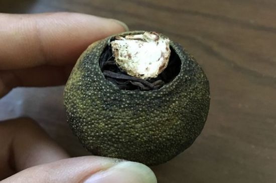怎么知道小青柑是真的假的圖片，如何區(qū)分真假新會小青柑