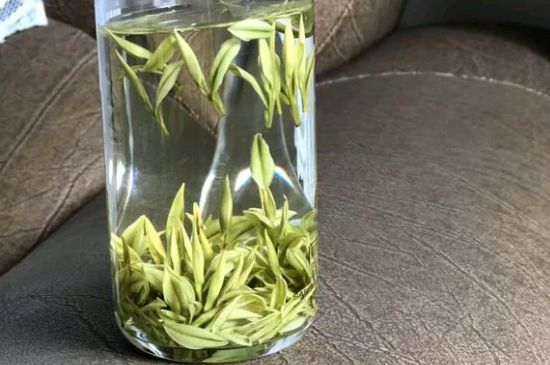 安吉白茶夏天怎么保存，安吉白茶能冷凍儲存嗎？