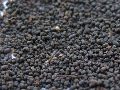 圓形顆粒狀茶是什么茶，像飼料一樣一粒粒的是什么茶？