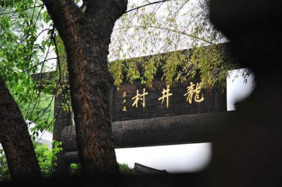 杭州買龍井茶攻略，怎么買到正宗的西湖龍井？