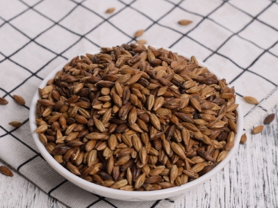 圓形顆粒狀茶是什么茶，像飼料一樣一粒粒的是什么茶？