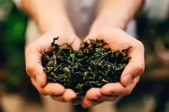 茶葉怎么炒制才香，怎樣炒茶葉更香？