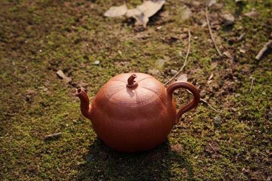 紫砂壺泡什么茶最佳，紫砂壺一般泡什么茶？