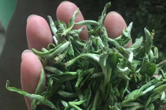 茉莉茶如何制作曬干，自制茉莉茶的做法
