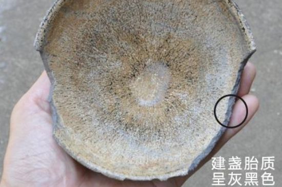 假建盞的特點(diǎn)，真假建盞區(qū)分帶圖