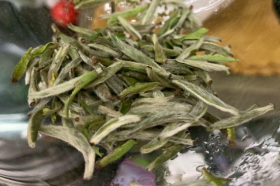 蒸汽煮茶器適合什么茶，蒸汽煮茶器適合用綠茶嗎？