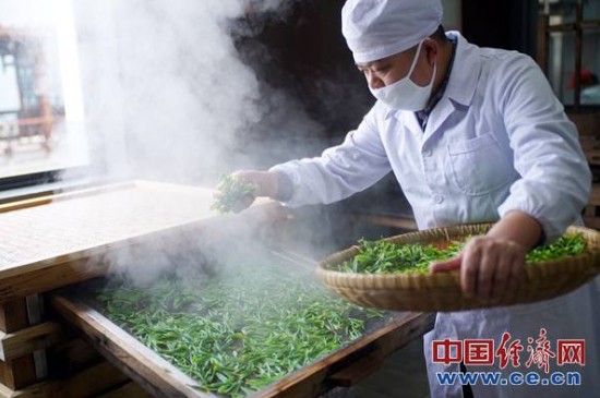 炒青綠茶與綠茶的區(qū)別，烘青和炒青哪個好喝？