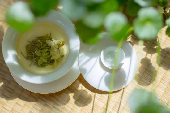 茉莉花茶6種人不要喝，什么體質(zhì)不適合喝茉莉花茶？