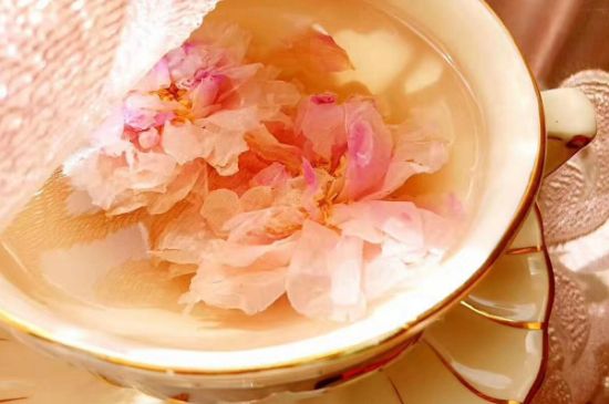 玫瑰花茶一周喝幾次，玫瑰花茶可以天天喝嗎？