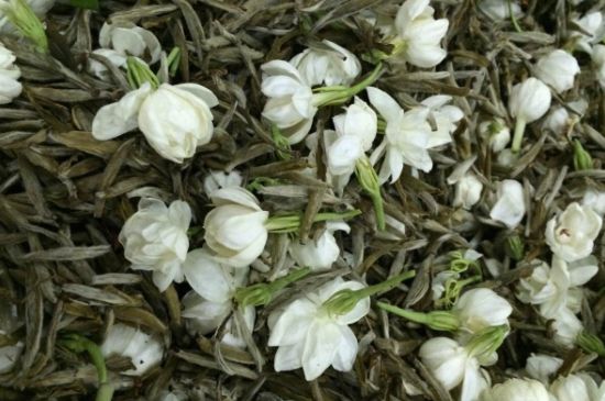 茉莉銀針口感，茉莉銀針是什么味道？