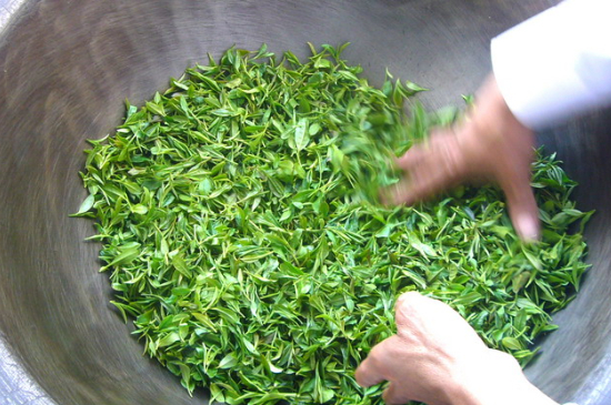 綠茶加工工藝流程圖，綠茶的加工制作包含哪幾個(gè)步驟？