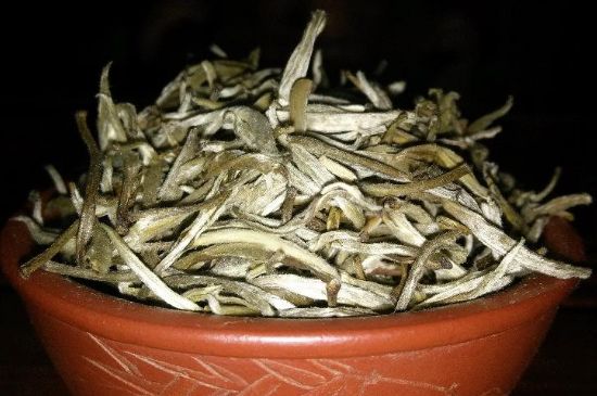 茉莉花茶6種人不要喝，什么體質(zhì)不適合喝茉莉花茶？
