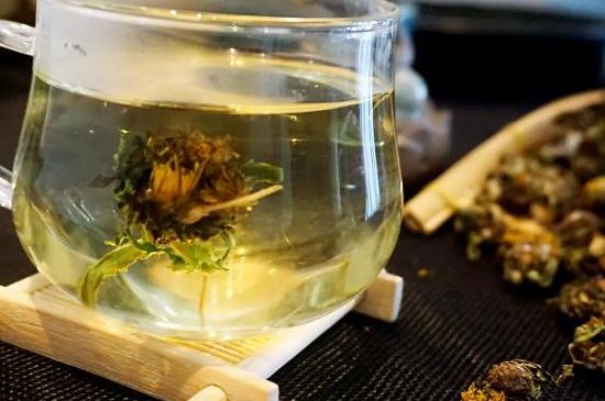 蒲公英最佳搭配，蒲公英茶和什么搭配泡水最佳