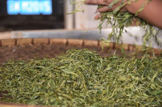炒青綠茶與綠茶的區(qū)別，烘青和炒青哪個好喝？