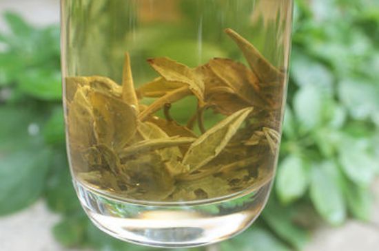 茉莉龍珠泡開(kāi)后為什么都是梗，茉莉龍珠泡開(kāi)后什么樣？