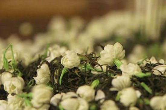 蒸茶器可以蒸花茶嗎，蒸茶器能用來蒸茉莉花茶嗎？