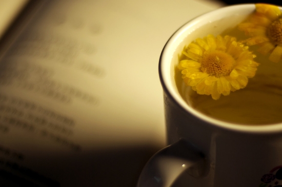 經(jīng)常菊花泡水好嗎，喝菊花茶有什么好處？