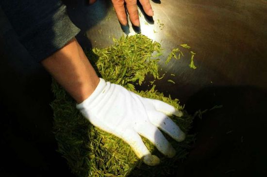 茶葉怎么炒制才香，怎樣炒茶葉更香？