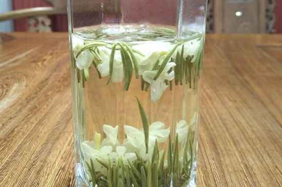 女孩喝茉莉茶的好處，茉莉茶葉的功效與禁忌