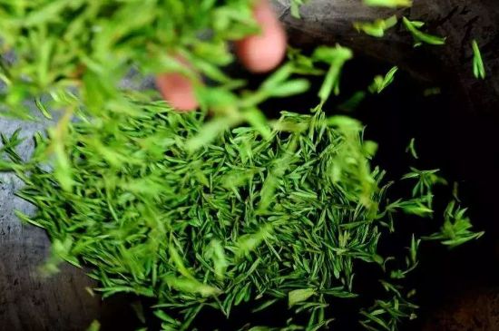 龍井茶炒茶葉怎么炒出好茶色，茶葉怎樣做出來最綠？