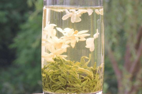 茉莉龍珠可以和什么一起泡茶，茉莉龍珠茶能加蜂蜜嗎？