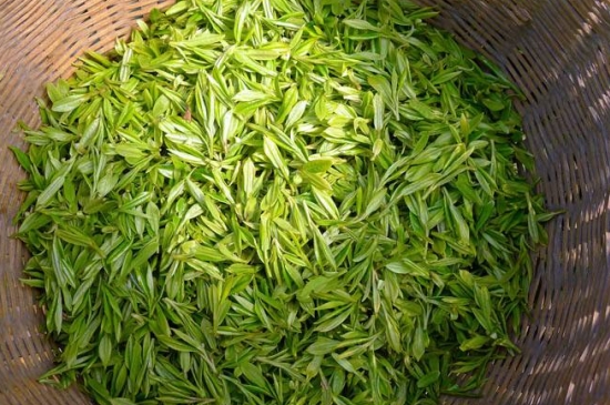 烏牛早和龍井的區(qū)別圖片，龍井43號(hào)和烏牛早茶的對(duì)比