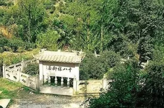 母樹大紅袍給誰喝了，為什么母樹大紅袍叫三棵六株？