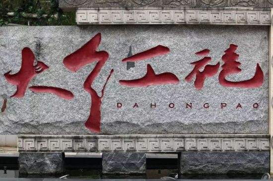 母樹大紅袍給誰喝了，為什么母樹大紅袍叫三棵六株？