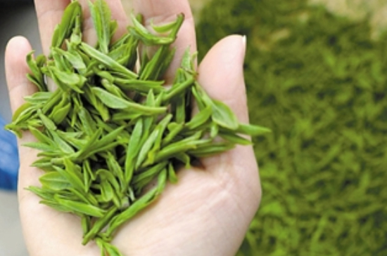 潮汕炒茶屬于什么茶，潮汕炒茶是綠茶嗎？
