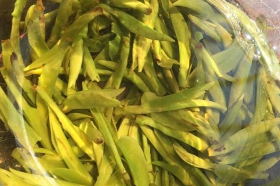 龍井是明前的好還是雨前的好，明前茶和雨前茶哪個好喝？