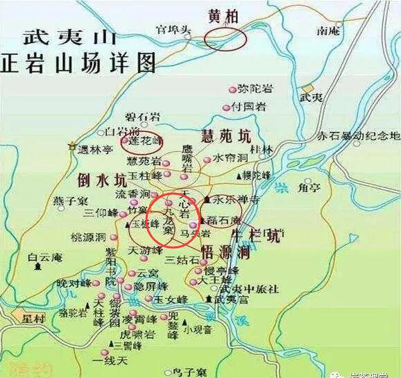 母樹大紅袍給誰喝了，為什么母樹大紅袍叫三棵六株？