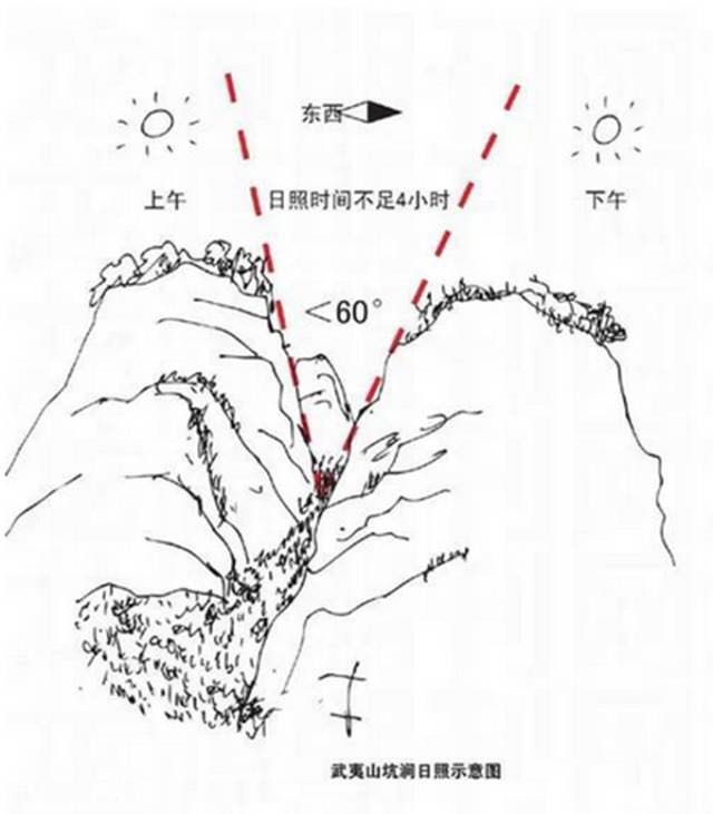 武夷山為什么盛產(chǎn)茶葉，武夷山茶為什么好喝？