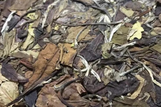 老白茶上火還是去火？夏季喝煮的老白茶會容易上火！